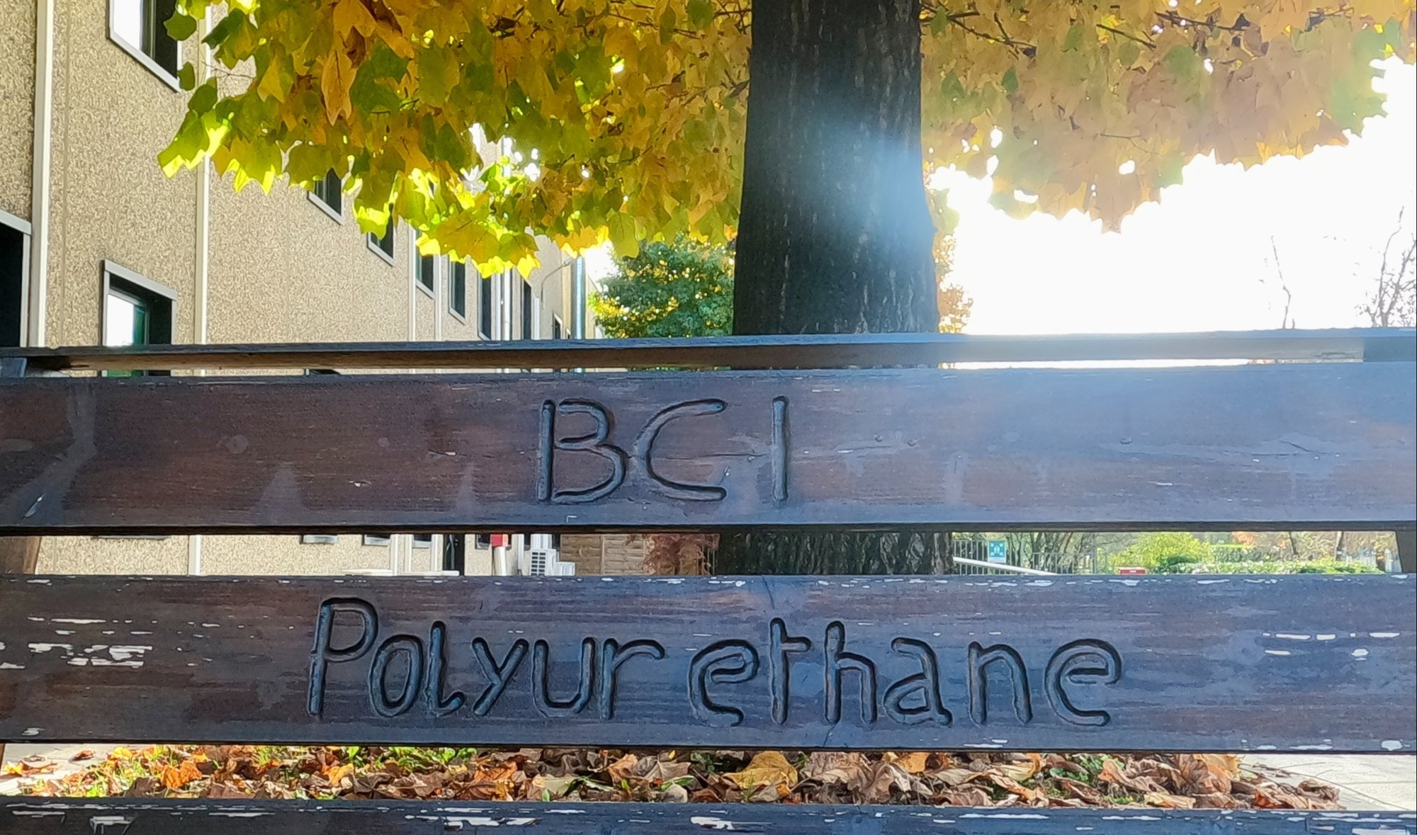 Italy-bench-1