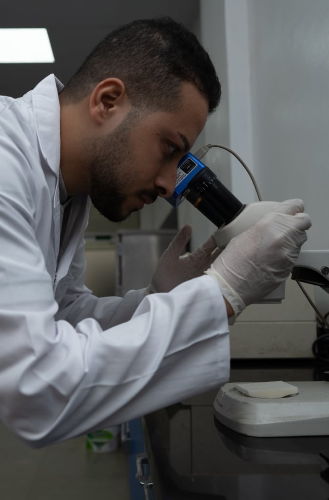 egypt lab